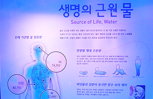 2. 인류와 물