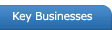 Key Businesses